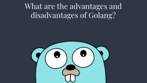 What are the advantages and disadvantages of Golang?