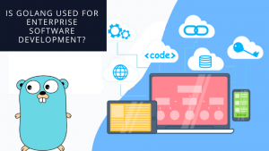 Is Golang used for Enterprise Software Development?