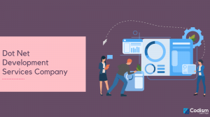 Dot Net Development Services