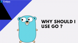 golang