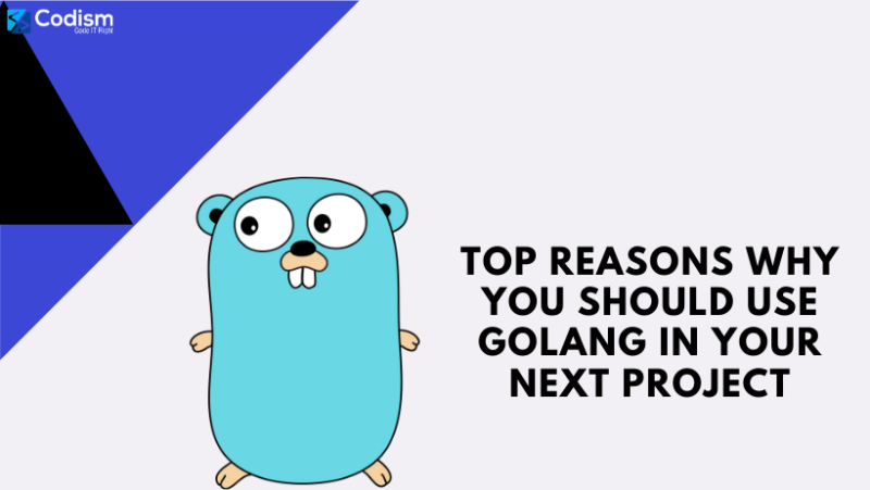Top Reasons why you should use Golang in your next project - Codism