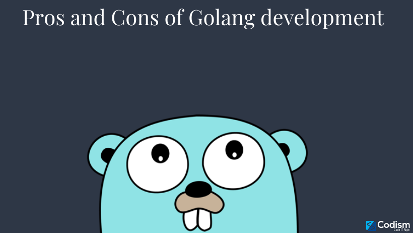 pros and cons of golang development