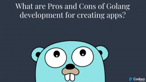 golang development