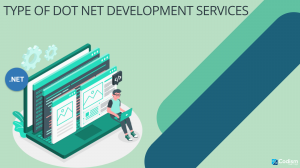 Type of Dot Net Development Services