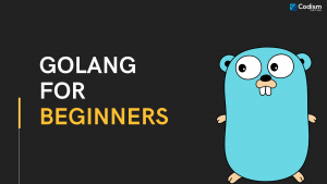 golang for beginners