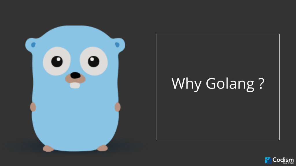 why golang?