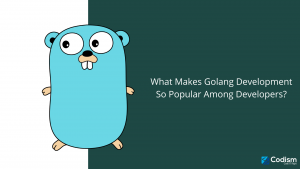 golang development