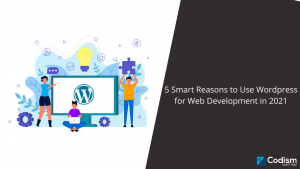 wordpress for web development