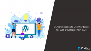 wordpress for web development