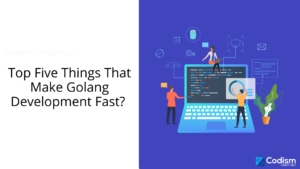 golang development
